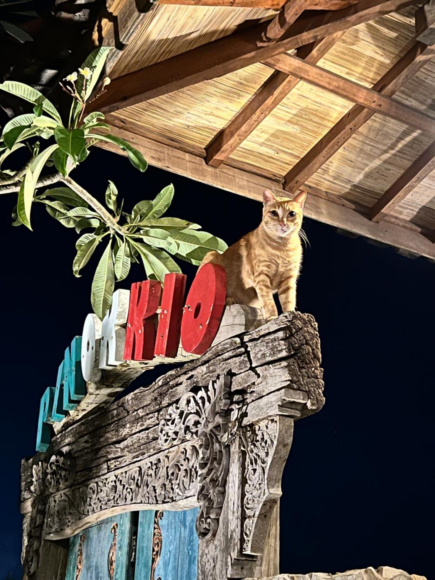 Pinokkio B&B Restaurant Ungasan Εξωτερικό φωτογραφία